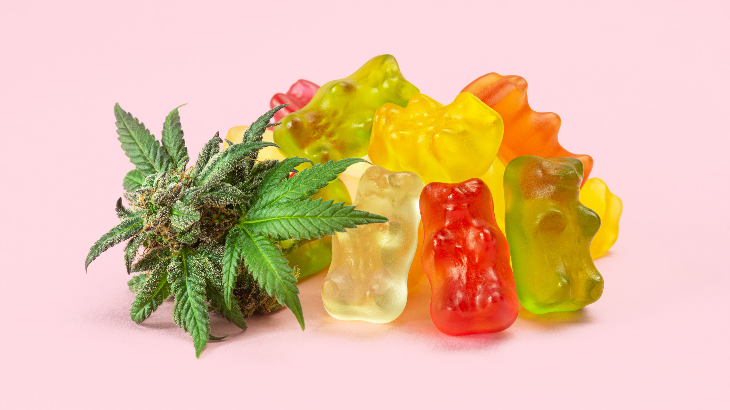 Hemp Gummies